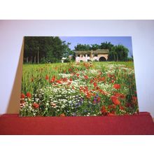 LES DIVINES, BOURGOGNE, FRANCE used postcard =
