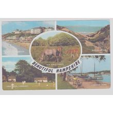 Multi View Beautiful Hampshire Postcard (QHAM191)