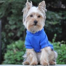 Flex-Fit Hoodie- Blue 3X-LARGE