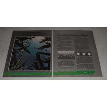 1983 Ciba-Geigy Double-Duty Bicep Ad