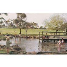 Civic Park Billabong Tea Room Plaza Modbury Australia Postcard