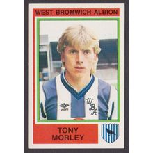 Panini Stickers Football 85 #359 Tony Morley - Forward (WBA)