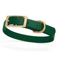 Dog Pet Collar with Brass Hardware Size S W 5/8” L 12” - 15” Hunter Green