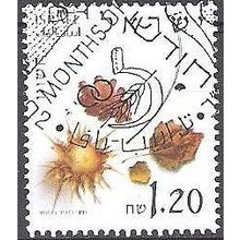 Israel 2002 Michel 1650 O Cote (2007) 0.70 € Fruits de châtaignier Cachet rond