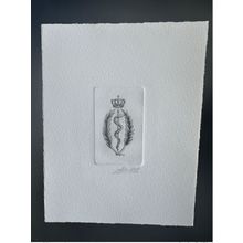 Belgique 1991 COB 2416 Epreuve d'artiste FDC Serpent Snake médecine Bruxelles