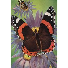 London Butterflies 1950s Train Painting Transport Poster Postcard