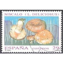 España 1994 Michel 3143 O Cote (2008) 0.30 Euro Champignon Lactaire délicieux