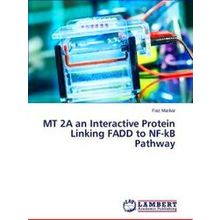 MT 2A an Interactive Protein Linking Fadd to NF-kb Pathway
