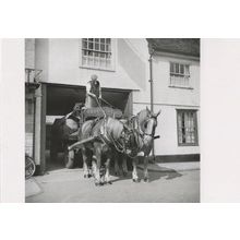 Saracens Head Ipswich Pub Cobbold & Co Horses Award Postcard