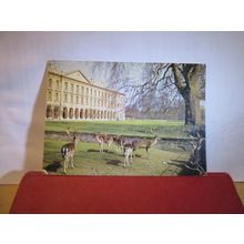 DEER PARK, MAGDALEN COLLEGE, OXFORD, used postcard by J. Arthur Dixon 1978 pm =