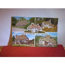 multiview, NEW FOREST COTTAGES, unused postcard by J. Salmon =