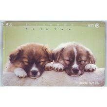Puppies V6 Japan NTT Phone Card