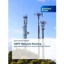 Ospf Network Routing