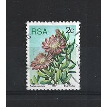 SouthAfrica.SG415 2c Protea Punctata.Fine Used.Sep25d