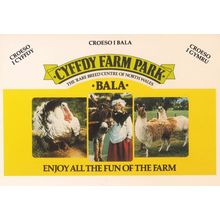 Cyffdy Farm Park Bala Welsh Animal Zoo Farming Centre Postcard