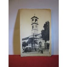 VUE DE L'EGLISE, GUELMA , ALGERIA. antique unused postcard. =