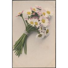 Blumen, Gänseblümchen, 1906 - Martin Rommel AK