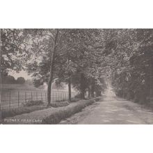 Putney Park Lane Antique Postcard