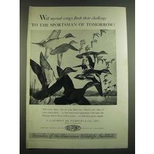 1939 Du Pont Sporting Powder Division Ad - Will myriad wings flash