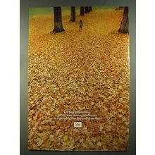 1972 Lilly Pharmaceuticals Ad - For Four Generations - Fall Leaves