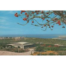 Haifa Winston Churchill Institute Israel Postcard