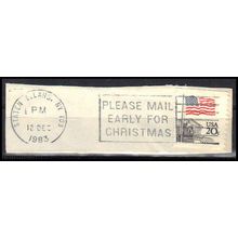 Used 1895 20c U.S. Flag Staten Island, NY. E1113