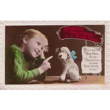 Toy Dog Motor Racing Chequered Flag Blue Bow Tie Real Old Photo Antique Postcard