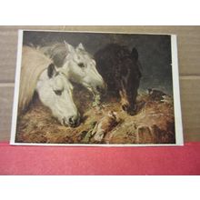 THE SCANTY MEAL painted by J F Herring used postcard dated 1959 art / horses =