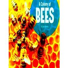 A Colony Of Bees Animal Groups