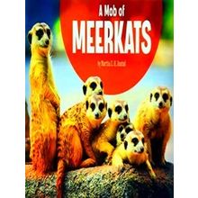A Mob Of Meerkats Animal Groups