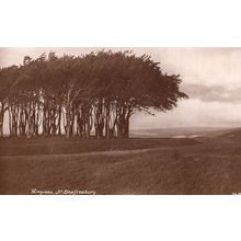 Wingreen Shaftesbury Wiltshire Antique Postcard