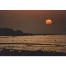 Shell Island At Sunset Y Machlud Ym Mochras Welsh Postcard