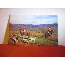 FOXHOUNDS & HUNTSMAN unused postcard by J. Salmon #