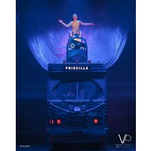 Priscilla of the Desert (10) Poster Canvas Movie Film Print A0 A1 A2 A3 A4 A5 A6