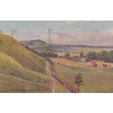 Edburton Sussex Postcard