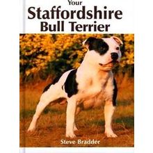 Your Staffordshire Bull Terrier