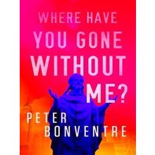 Where Have You Gone Without Me