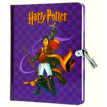 Harry Potter: Quidditch Lock and Key Diary by Insight Editions