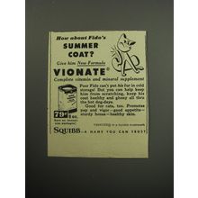 1957 Squibb Vionate Ad - How about Fido's summer coat?
