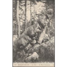 La Dame d'Apremont, Le Forêt, Fontainebleau, c.1905-10 - Lévy CPA LL351