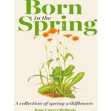Born In The Spring