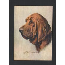 DE RESKE THE BLOODHOUND CIGARETTE LARGE PACKET DOG POSTCARD UNUSED