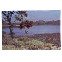 INVEREWE GARDENS, POOLEWE vintage postcard unused by W S Thomson =