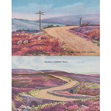 Hunt House Road & Ellerbeck Goathland Moors 2x Postcard