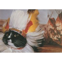Chief Red Indian Cat Fancy Dress Cats At Wigwam Postcard