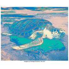 lfAndy Warhol (1928-1987). Turtle, 1985 Art Gallery Poster Canvas Print Wall Dec