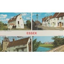Sible Hedingham Mill + Horse Nr Halstead Thaxted Audley End Essex 70s Postcard