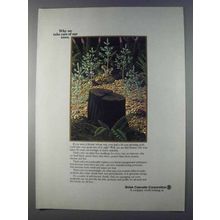 1980 Boise Cascade Corporation Ad - We Take Care