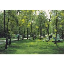 Sandringham Caravan Club Camping Site Norfolk Postcard