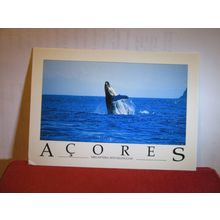 HUMPBACK WHALE, ACORES, PORTUGAL used postcard 2003 pm =